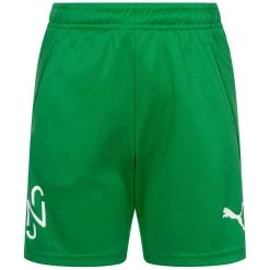 PUMA X Neymar Jr. Copa Kinder Shorts 605571-07