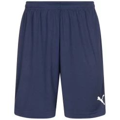 PUMA LIGA Core Herren Trainings Shorts 655664-06