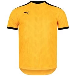 PUMA FtblNXT Graphic Shirt Herren Trikot 657007-04