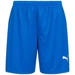 PUMA Damen Trainings Shorts 700283-06