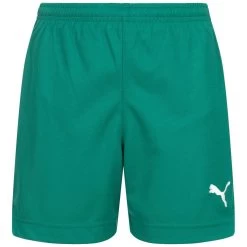 PUMA Vencida Jungen Trainings Shorts 700439-05