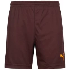 PUMA V5.08 Jungen Training Shorts 700473-09