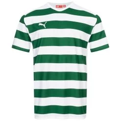 PUMA V5.08 Hooped Herren Trikot 700549-05