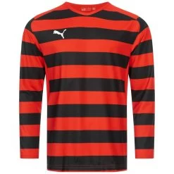 PUMA V5.08 Hooped Herren Langarm Trikot 700550-01