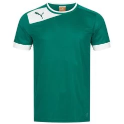PUMA PowerCat 5.12 Herren Trikot 701257-05