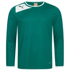 PUMA PowerCat 5.12 Langarm Herren Torwart Trikot 701261-05