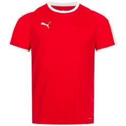 PUMA LIGA Herren Trikot 703417-01