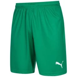 PUMA LIGA Core Herren Trainings Shorts 703436-05