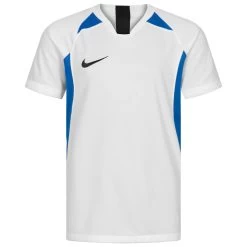 Nike Dry Legend Kinder Trikot AJ1010-102