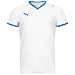 PUMA V-Neck Herren Trainings Trikot PL99997501